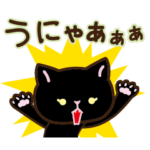 ちびすけ黒猫ちゃん