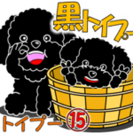 黒トイプー１５