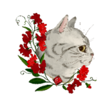 猫ちゃん×お花のお誕生日スタンプ