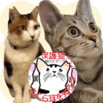 幸せになった元・保護猫達のスタンプ