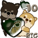 ちゃちゃ丸達『いつもの言葉』水玉