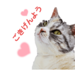 ペットの里寄付金付きスタンプ