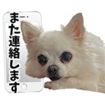 ちいandがめちゃん