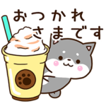 おちゃめな黒柴犬２