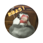 桜文鳥ゴマのスタンプ