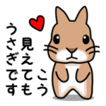 ぼくはうさぎのモコたんです