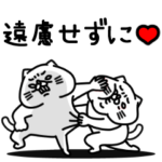 全力ねこ愛してやまない編