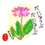 「ちいこ」専用おとなの花敬語