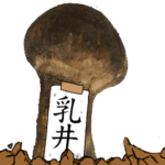 松茸研究家乳井さんのマツタケ