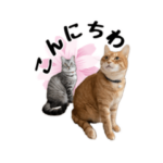 にゃんずの毎日使えそうなスタンプ