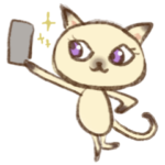 女子力アゲアゲ！猫さん