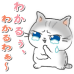 鯖トラ猫の鯖子さん・中身はオバチャンです