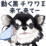 動く！黑チワワⅡ