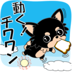 動く！チワワの「チワワン」