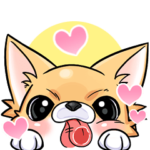 チワワといっしょ！