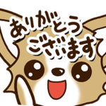 どアップなチワワ！