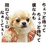 チワワの銀さん