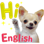 リアルなチワワ 英語