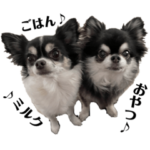 チワワ 好きのためのスタンプ３