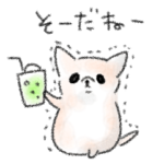 シンプル 小刻みにふるえるチワワ 日常会話