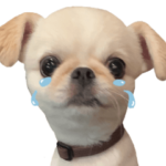 オレ、おもちくん５