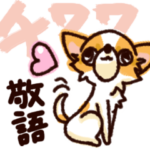 チワワでメッセージ6