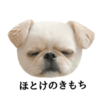 オレ、おもちくん ３