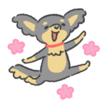 まるっとチワワ