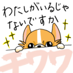 チワワでメッセージ