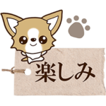 ちびっこチワワ