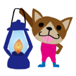 キャンプが大好きなチワワ！