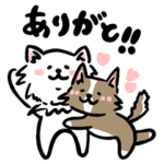 チワワのファイとちくわ