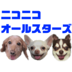 チワワとミニチュアダックスの日常フレーズ