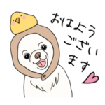チワワのPちゃん使えるスタンプ