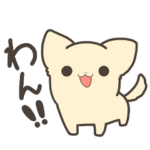 繊細チワワの日常