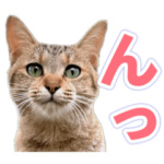 ちんみのスタンプ2022①