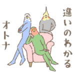 違いのわかる大人インコ