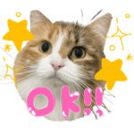 うちのネチコヤン