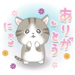 飛びだす♡ちびニャンずの日常スタンプ♪