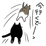 ナノときなこ3(関西弁）