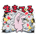 とても元気なウサちゃん