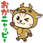 おがニャッピー