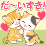 ころころ子猫　可愛い毎日