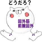 筋学上肢手指〜医療系学生〜