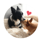 こゆき家スタンプwith卒業生