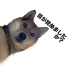 べにまるのきもち