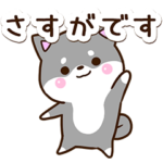 おちゃめな黒柴犬