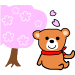 くまの　のーちゃん