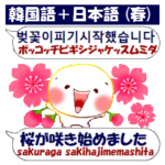 韓国語＋日本語 春バージョン