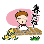 どんぐりちゃんの春